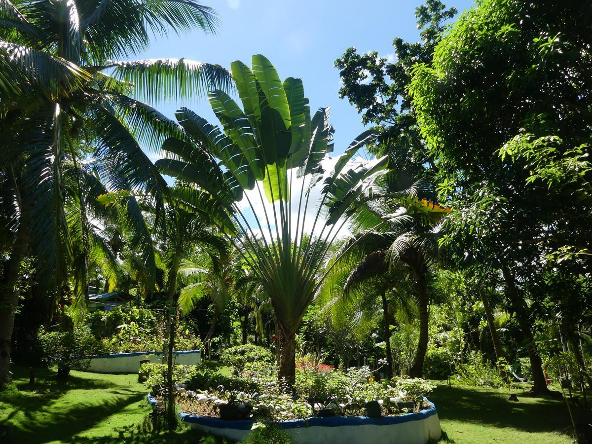 Casa De La Playa Beach Resort Сикихор Экстерьер фото